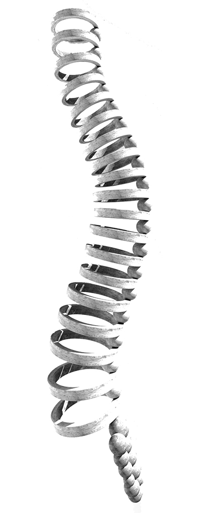 rendering 3d colonna vertebrale